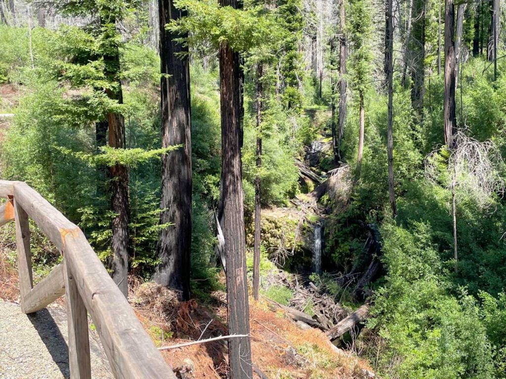 Sempervirens Falls